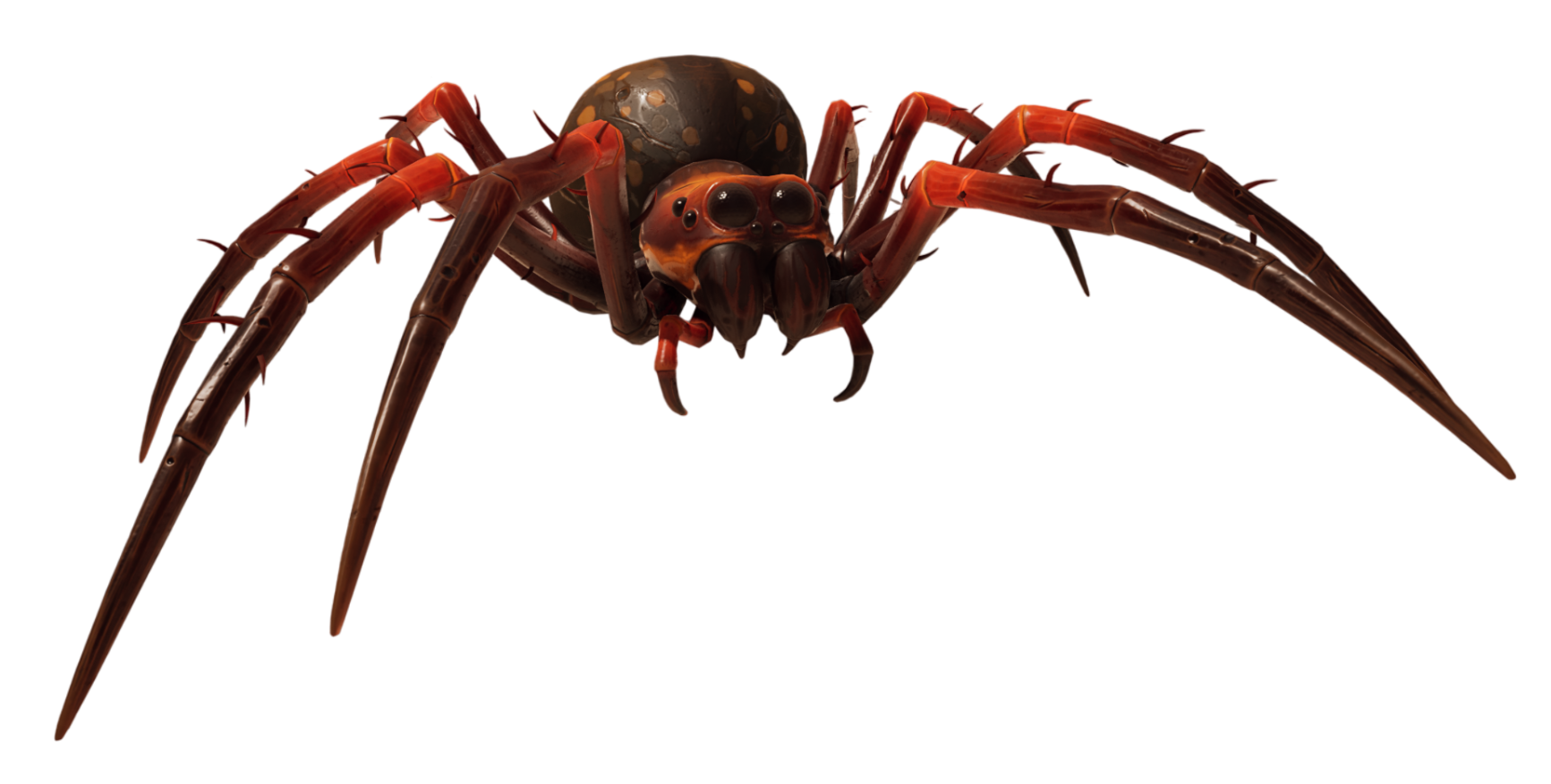 Diving Bell Spider